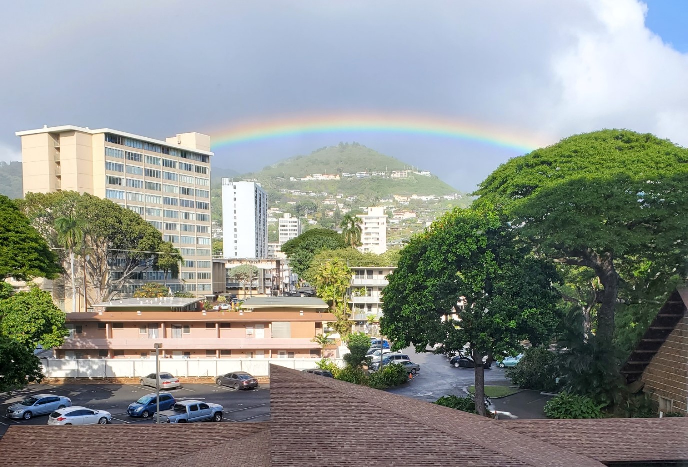 View from my window